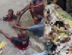 Warga Tangkap Buaya yang Memangsa Wanita Hamil di Mimika