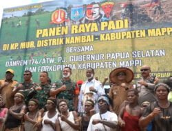 Pj Bupati Mappi Dampingi Pj Gubernur Papua Selatan Panen Raya Padi di Mur
