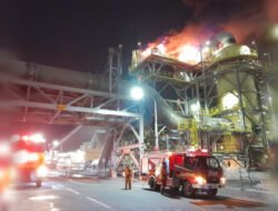 Sebelum Terbakar, Lembaga Adat Kesal Smelter Freeport Dibangun di Gresik