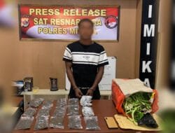 Pria ini Ditangkap Polisi Begitu Tiba di Bandara Mozes Kilangin Timika