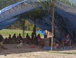 Ribuan warga mengungsi akibat Operasi Militer di Gome Utara Puncak