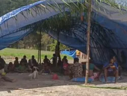 Ribuan warga mengungsi akibat Operasi Militer di Gome Utara Puncak