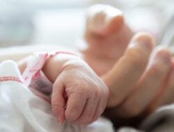Bayi perempuan di Timika ditemukan dalam tempat sampah