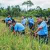 Danlanud Yohanis Kapiyau panen padi Gogo bersama petani Mimika