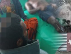 Istri selingkuh, komandan KKB murka tewaskan 3 orang