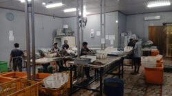 Pemalangan akses Pelabuhan Pomako rugikan pelaku usaha hasil laut