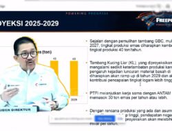 Pendapatan Negara dari Freeport pada 2028 Diproyeksi Hampir Rp100 Triliun