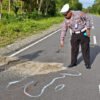 Pelajar Tewas Kecelakaan di Mimika, Polisi Buru Pengemudi Avanza yang Kabur