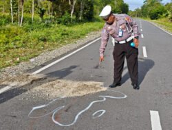 Pelajar Tewas Kecelakaan di Mimika, Polisi Buru Pengemudi Avanza yang Kabur