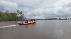 Sedang Mencuci Kepiting, Wanita Diterkam Buaya di Sungai Agimuga