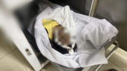 Polisi Dalami Penyebab IRT di Belakang Grapari Timika Ditemukan Tewas