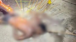 Polisi Ungkap Jejak Pembunuhan Berencana di Kwamki Narama