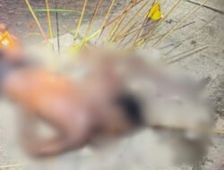 Polisi Ungkap Jejak Pembunuhan Berencana di Kwamki Narama