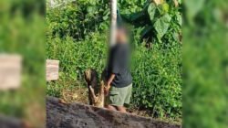 Perempuan Tewas Tergantung di Wania, Polisi Temukan Kejanggalan