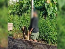 Perempuan Tewas Tergantung di Wania, Polisi Temukan Kejanggalan