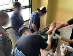 Satgas Damai Cartenz Tangkap KKB Berambut Gimbal di Timika