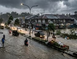 Cuaca Ekstrim Terjang Mimika, Meluas ke Wilayah Pedalaman dan Pesisir