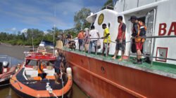 Pencari Kepiting di Mimika Hilang Diterkam Buaya, Tim SAR Sisir Semak dan Anak Sungai