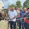 Bupati Mimika dan Gubernur Serahkan Hewan Kurban Sambut Iduladha 1447 H