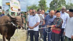 Bupati Mimika dan Gubernur Serahkan Hewan Kurban Sambut Iduladha 1447 H