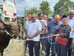 Bupati Mimika dan Gubernur Serahkan Hewan Kurban Sambut Iduladha 1447 H