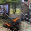 Karantina Papua Tengah Musnahkan ​Sapi Ilegal Asal Tual Bendung Ancaman PMK