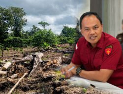 Kejari Mimika Segera Tetapkan Tersangka Kasus Dugaan Korupsi Lahan Perkebunan Rp22,5 miliar