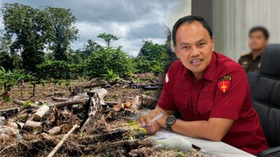 Kejari Mimika Segera Tetapkan Tersangka Kasus Dugaan Korupsi Lahan Perkebunan Rp22,5 miliar