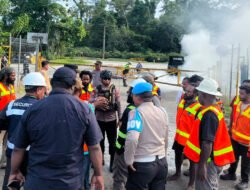 Peternak Broiler Mimika Peringatkan Dampak Besar Penghentian PO Ayam Lokal ke Freeport