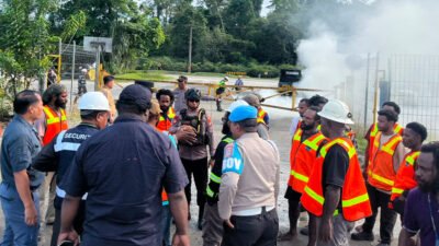 Peternak Broiler Mimika Peringatkan Dampak Besar Penghentian PO Ayam Lokal ke Freeport