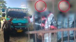 Polisi Ringkus Dua Sopir Truk dalam Kasus Tabrak Lari Maut di Mimika