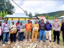 Pemprov Papua Tengah dan Pemkab Paniai Sukses Cetak Peternak Telur Mandiri
