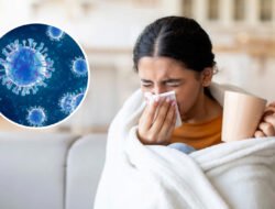 Papua Tengah Tingkatkan Kewaspadaan Dini Hadapi Ancaman Penyebaran Super Flu