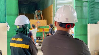 604 Ton CPO Senilai Rp6 Miliar Meluncur dari Mimika ke Surabaya