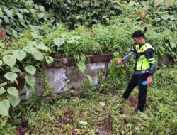Pengendara Motor di Mimika Tewas Tabrak Tembok Pembatas