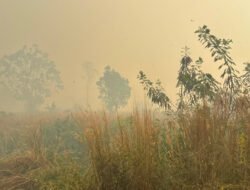 El Nino Kategori Sangat Kuat, BMKG Nabire Catat Ratusan Titik Panas dan Peringatkan Waspada Kebakaran