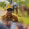 Bukan Kabut Biasa, Dinkes Mimika Ingatkan Warga Waspada Asap dan Risiko ISPA