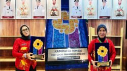 Raih Best Local Branding AOE 2026, Mimika Dinilai Sukses Pasarkan Potensi Daerah