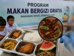 Menkes: Bukan Hanya Semangka, Sejumlah Menu MBG Positif Terkontaminasi Bakteri E. coli