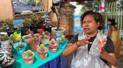 Pelaku UMKM di Mimika Minta Pembinaan Tak Berhenti di Festival