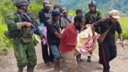 Tokoh Adat Papua Sebut Aksi OPM Tembak Warga Sipil Tak Manusiawi