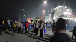 Razia KM Sirimau di Pomako, 233 Liter Sopi Tanpa Pemilik Diamankan