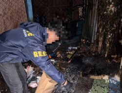 Malam Mencekam di Dekai: Warga Ditusuk, Warung Kopi Terbakar