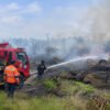 23 Kebakaran Terjadi di Sekitar Perkebunan Sawit Nabire, 67,95 Hektare Terdampak