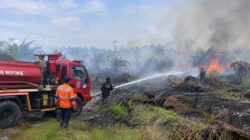 23 Kebakaran Terjadi di Sekitar Perkebunan Sawit Nabire, 67,95 Hektare Terdampak