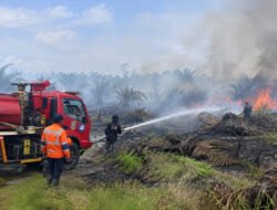 23 Kebakaran Terjadi di Sekitar Perkebunan Sawit Nabire, 67,95 Hektare Terdampak