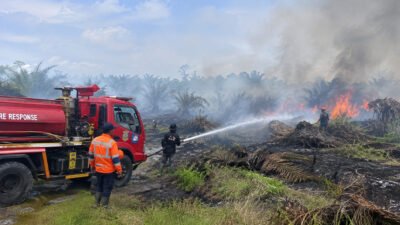 23 Kebakaran Terjadi di Sekitar Perkebunan Sawit Nabire, 67,95 Hektare Terdampak