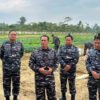 Dankodaeral XI Merauke Tinjau Lahan Ketahanan Pangan 2,5 Hektare di Lanal Timika
