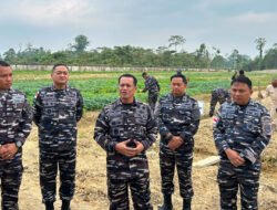 Dankodaeral XI Merauke Tinjau Lahan Ketahanan Pangan 2,5 Hektare di Lanal Timika