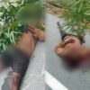 Pria 30 Tahun Ditemukan Tewas Berlumuran Darah di SP 2 Mimika, Polisi Amankan Besi dan Pisau